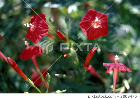 66900 L'oeux 66900 L'oeux 2809476