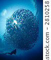 scuba diving, scuba dive, army 2810258