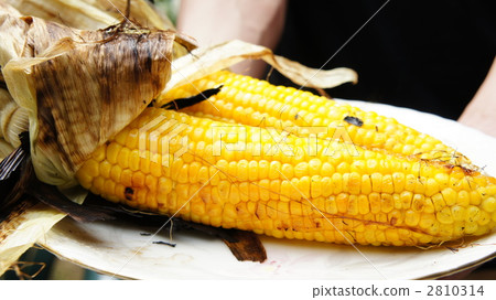 Freshly baked corn 2810314