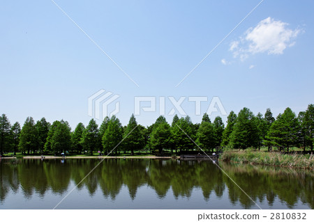 在Sorido公園Lakushou森林和湖表面反射的風景 2810832