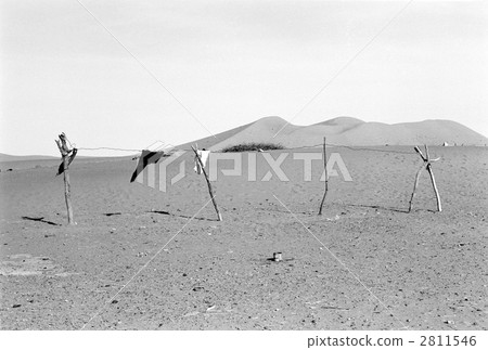 The laundry spreads in a dry wind. Morocco / Merzouga. Shot in March, 1998 The laundry spreads in a dry wind. Morocco / Merzouga. Shot in March, 1998 2811546