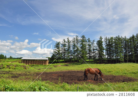 Aozora and Mariko Aozora and Mariko 2811608