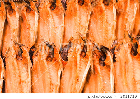竹莢魚的開幕 竹莢魚的開幕 2811729