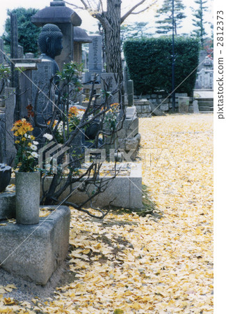 Autumn leaves 026 2812373