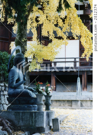 Autumn leaves 027 2812374