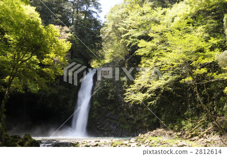 淨蓮瀑布 瀑布 伊豆半島 2812614