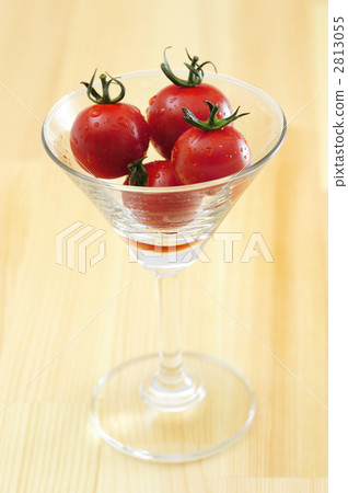 Mini Tomato Mini Tomato 2813055