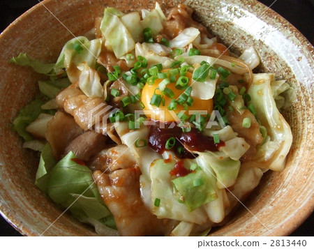 味噌炒高麗菜絲和豬肉絲 2813440