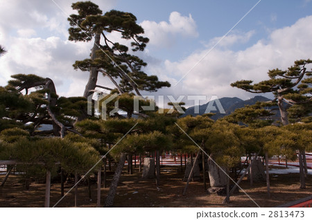 Omi Hakkei Karasaki夜雨Karasaki神社(Hiei山遠景) Omi Hakkei Karasaki夜雨Karasaki神社(Hiei山遠景) 2813473
