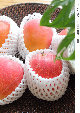 蘋果芒果 2813649