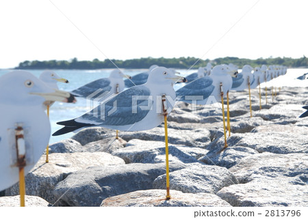 coast, seashore, seaside 2813796