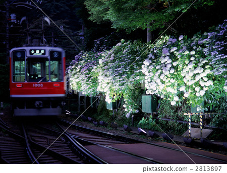 箱根登山鐵路和繡球花 2813897
