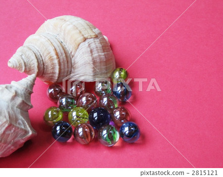 seashell, shell, marble 2815121