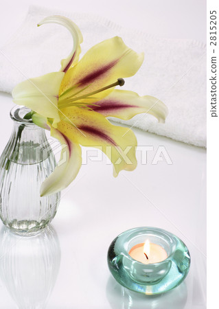 Lily of flowers 2815205