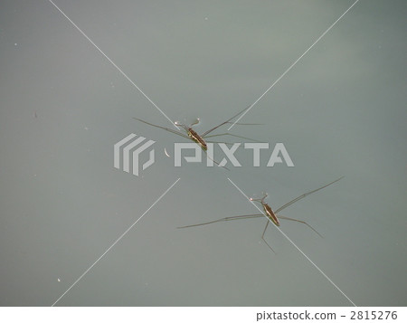 Ooamenbo Ooamenbo 2815276