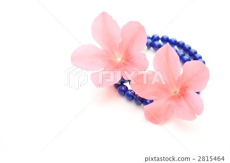 Petal and power stone 2815464