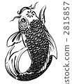 鯉魚 2815857