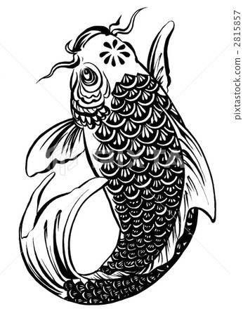 鯉魚 鯉魚 2815857