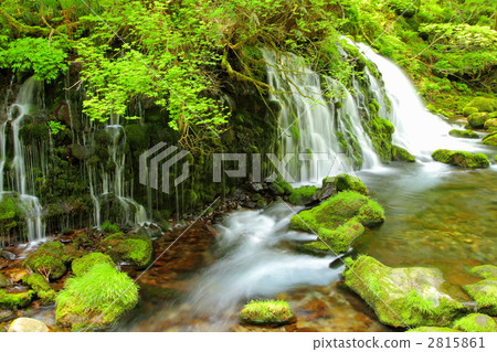 Fresh green former falls underwater water Fresh green former falls underwater water 2815861