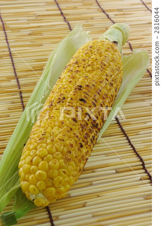 Grilled corn Grilled corn 2816044