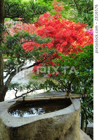 Kyoto Mangyoin 's bad thing 2816576