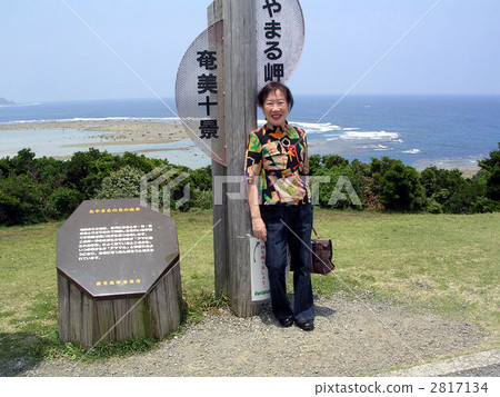 在奄美 2817134