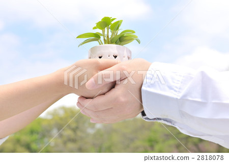 hand, foliage plant, parts 2818078