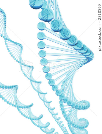 DNA 基因 個人簡介 2818599