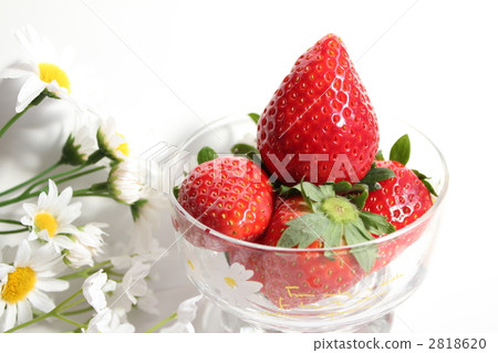 Strawberries Strawberries 2818620