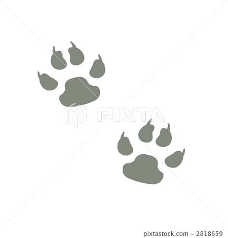 Footprints Footprints 2818659