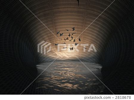 幻覺世界(來源) 幻覺世界(來源) 2818678