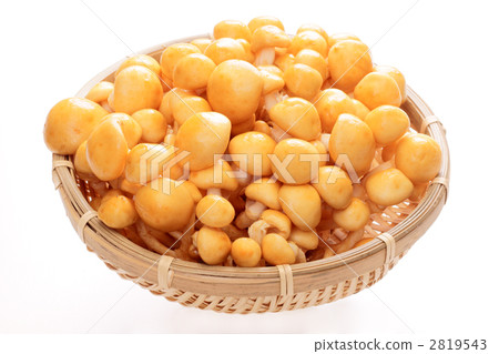Nameko 2819543