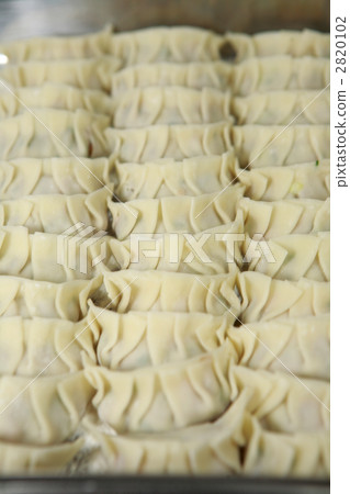 手工製作的餃子排成一排 2820102