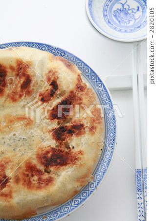 Handmade grilled gyoza arranged closely 2820105