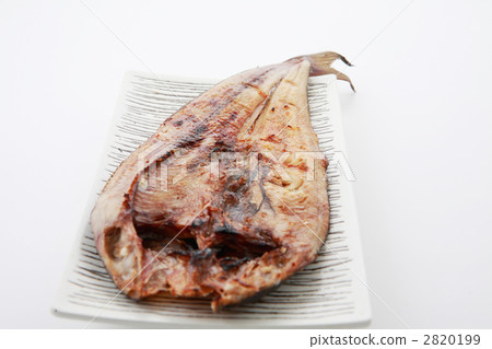 打開一隻鷹 2820199