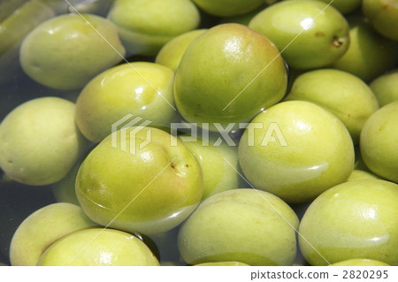 without lye, removal of bitter taste, unripe plum 2820295