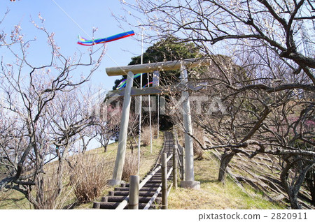 Umeno Taoura Umeno Taoura 2820911