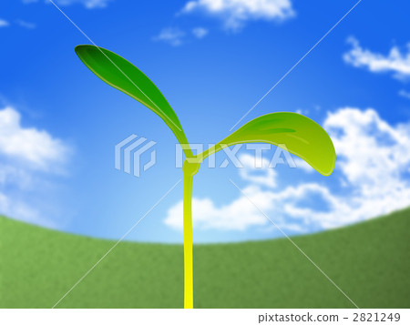 雙葉 雙葉 2821249