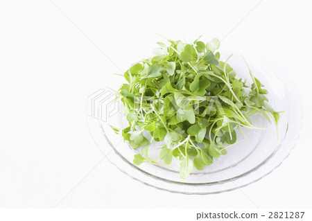 Komatsuna的稀薄蔬菜 2821287