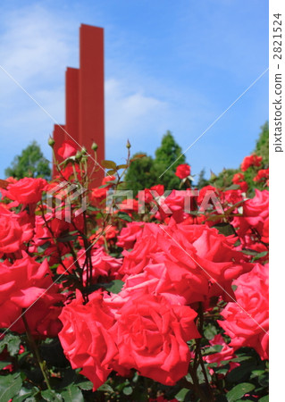 紅玫瑰和紀念碑 2821524