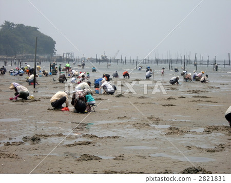 Fun sea hunting 2821831