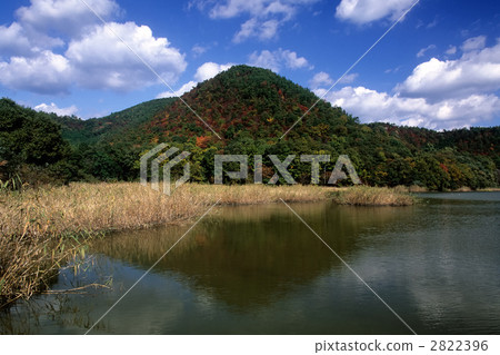 廣澤池塘 2822396