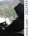 Senior women reading a book by the window 2822459