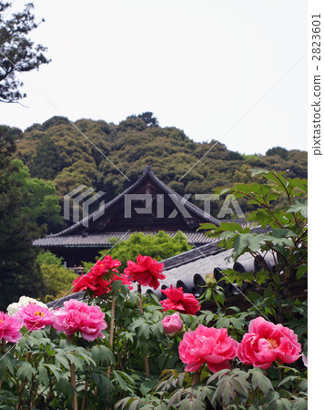 和田寺 和田寺 2823601
