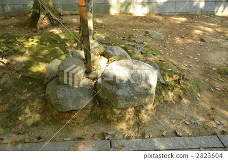 聖地 香椎 傳統建築 2823604