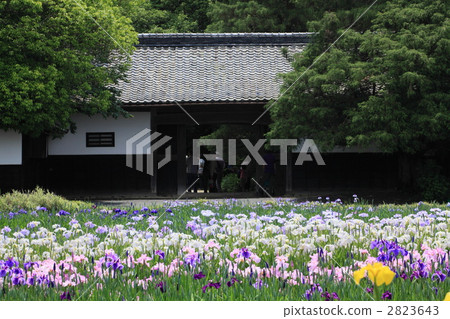 Nagayamon沒有iri花園 2823643