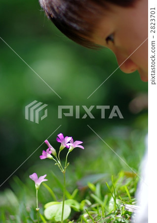 Suishi（Murasaki Katabi）和兒童的剪影 2823701