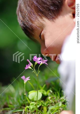 雙師（Murasaki Katabi）和一個孩子 2823703