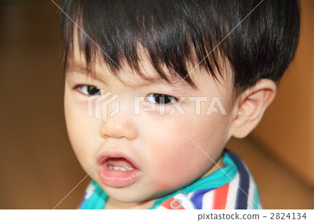 這是什麼? 這是什麼? 2824134
