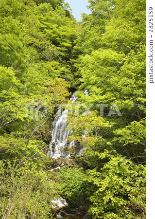 Yamagata white cloth immovable waterfall Yamagata white cloth immovable waterfall 2825159